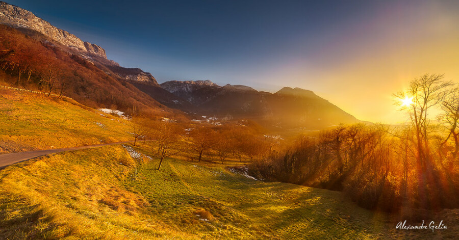 les noyers de Saint Gervais