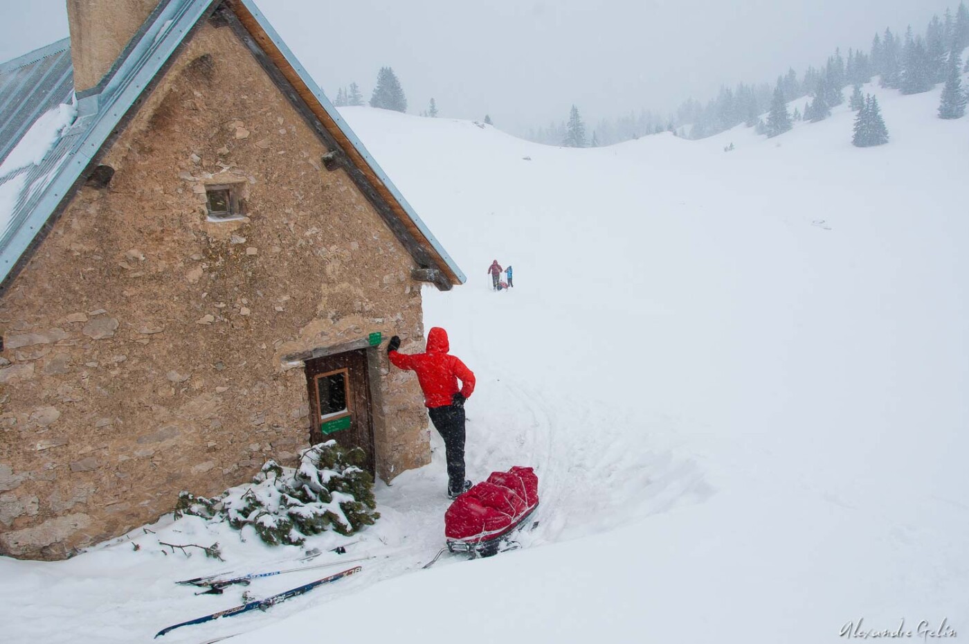 Stage photo Vercors : sur les traces des loups 15-16 février 2025 – Image 7