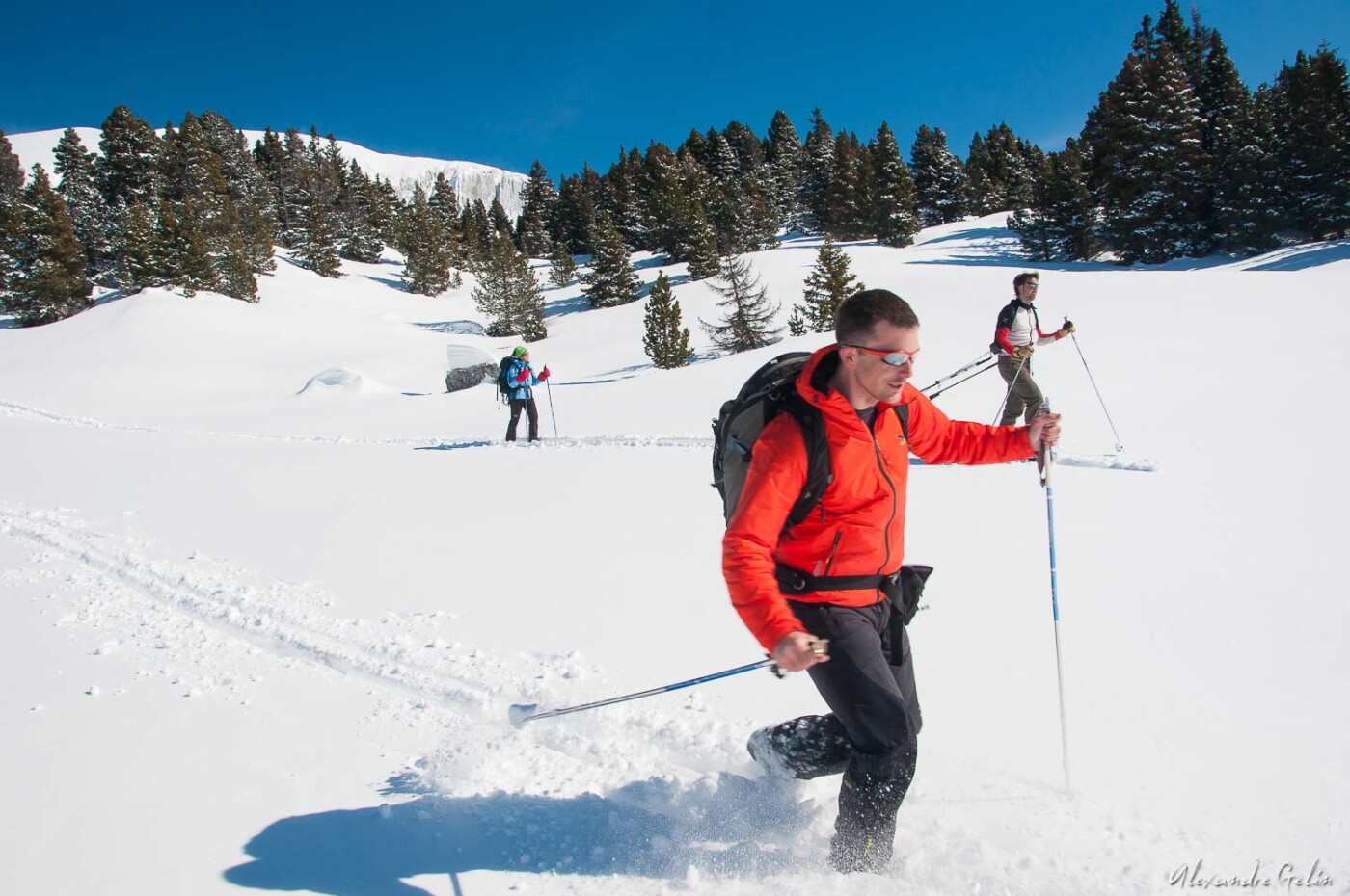Stage photo Vercors : sur les traces des loups 15-16 février 2025 – Image 6