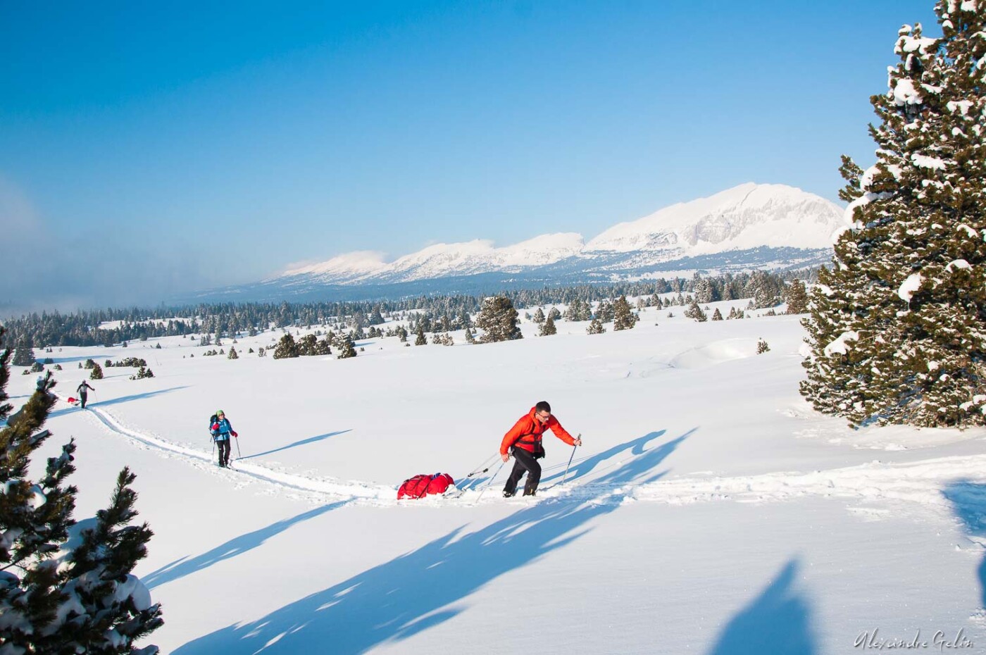 Stage photo Vercors : sur les traces des loups 15-16 février 2025 – Image 8
