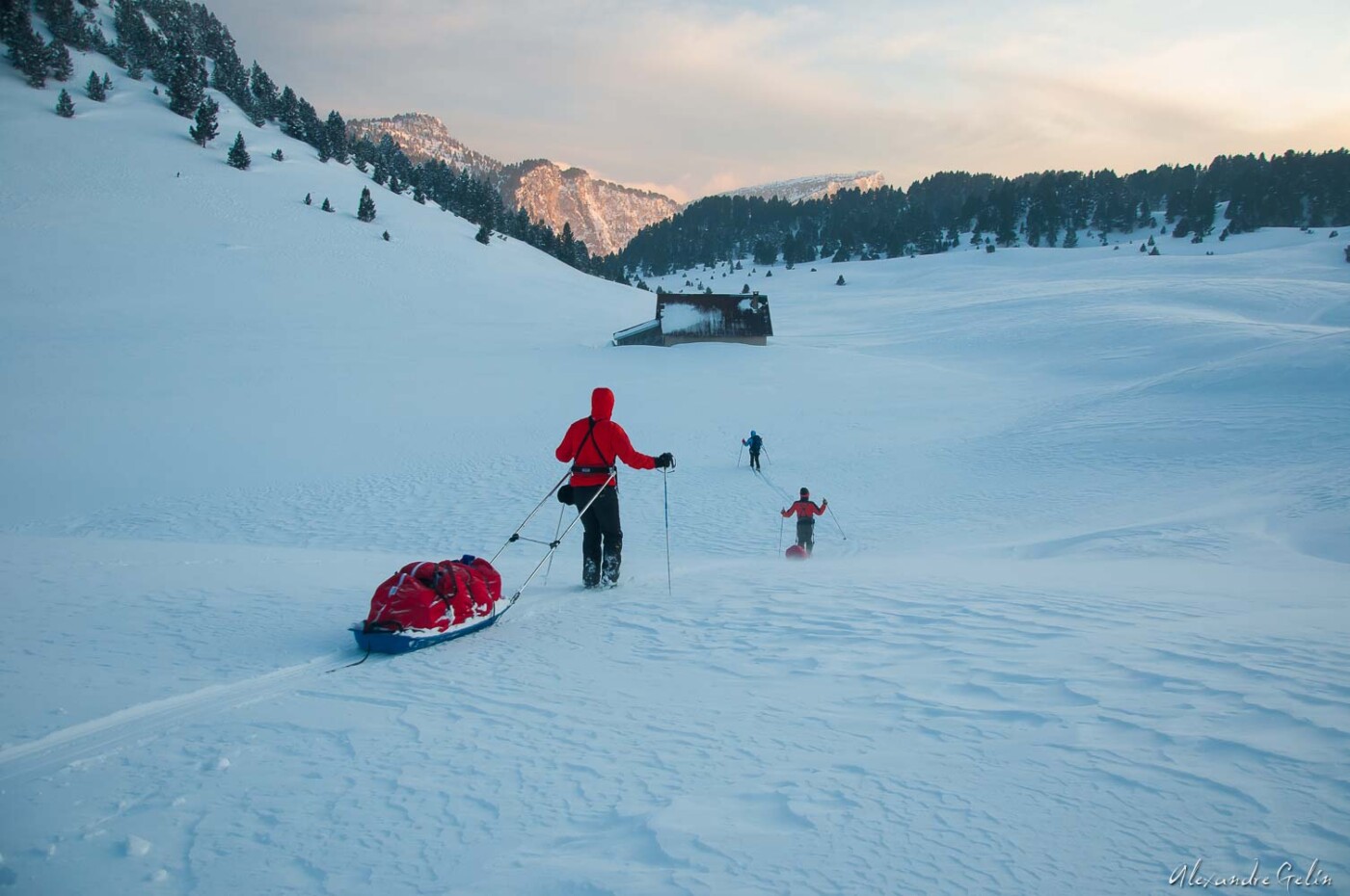 Stage photo Vercors : sur les traces des loups 15-16 février 2025 – Image 2