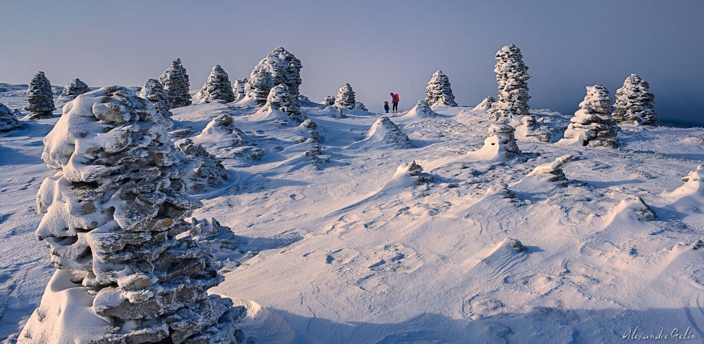 Stage photo Vercors : sur les traces des loups 15-16 février 2025 – Image 4