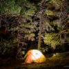 Stage photo Vercors : sur les traces des loups 22-23 mars 2025 – Image 6