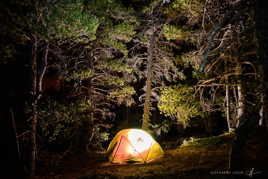Stage photo Vercors : sur les traces des loups 22-23 mars 2025 – Image 6