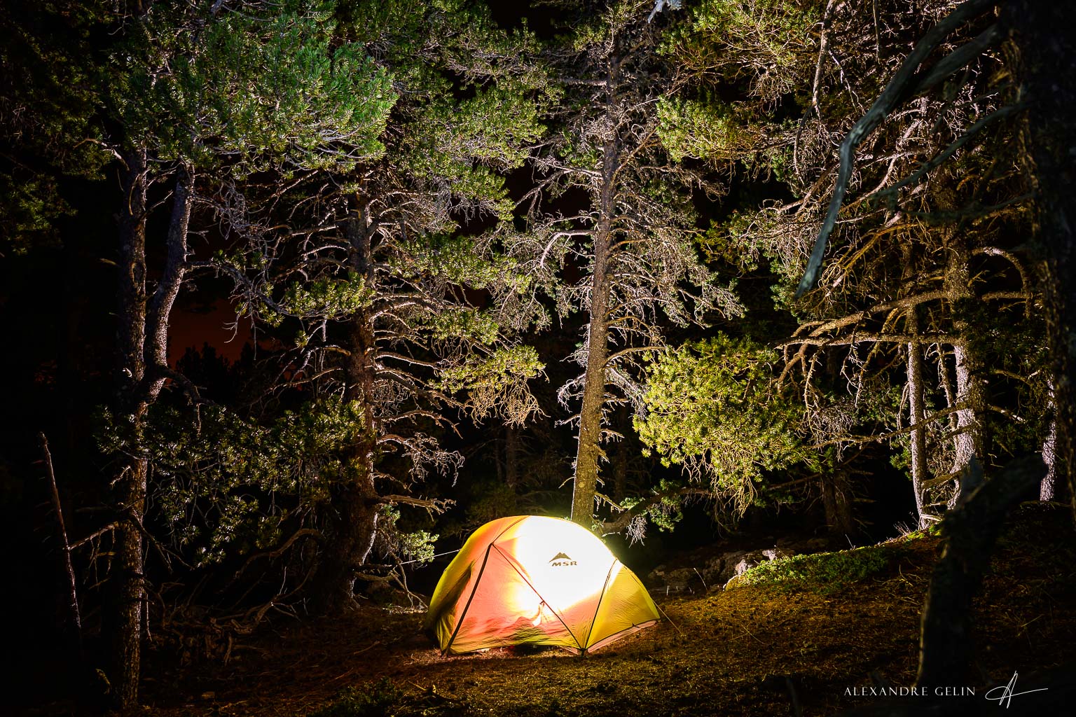 Stage photo Vercors : sur les traces des loups 25-26 avril 2026 – Image 6